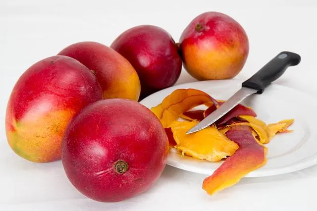 Uprawa mango z pestki od a do z